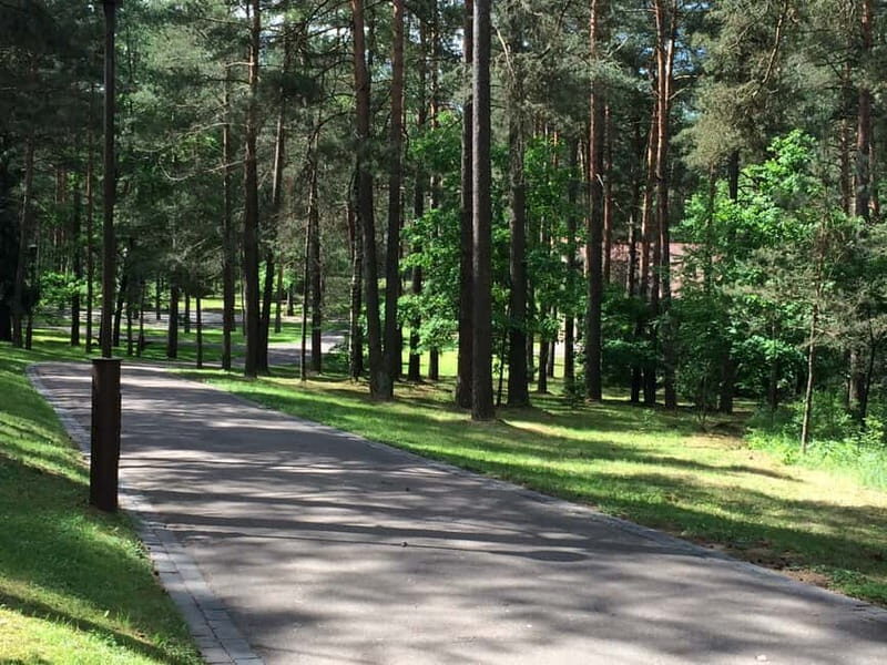 From Vilnius: Trakai Castle and Paneriai Memorial Tour - The Sum Up