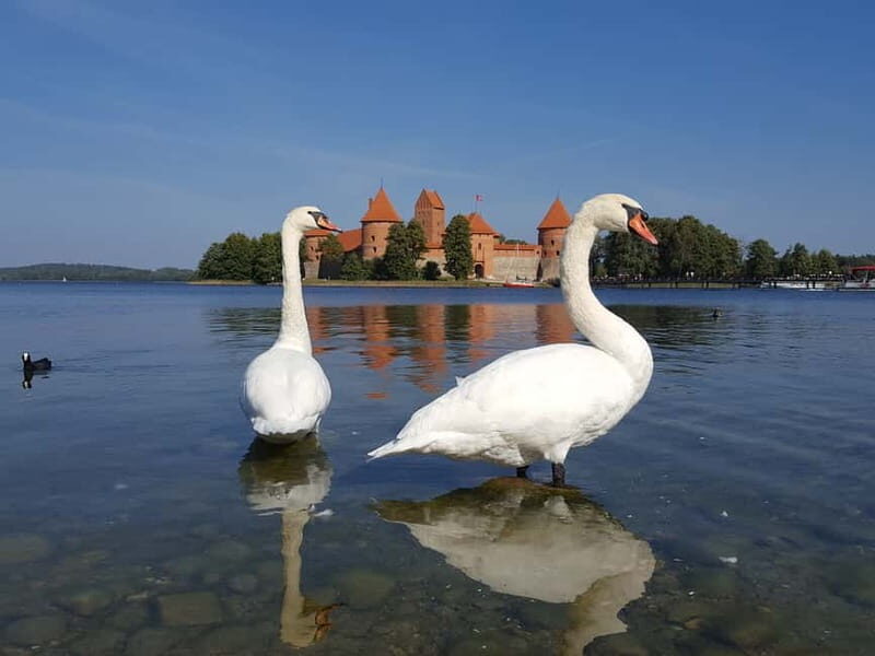 From Vilnius: Trakai Castle and Paneriai Memorial Tour - FAQ