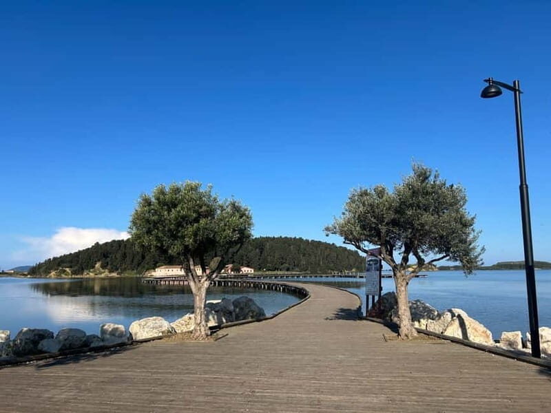 From Vlora: Zvernec, Apollonia & Berat Day Tour - Key Points