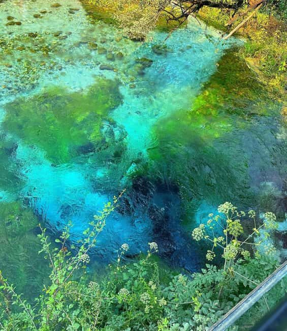 From Vlora:Tepelene Springs, Gjirokaster & Blue Eye Day Tour - Key Points