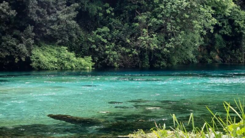 From Vlora:Tepelene Springs, Gjirokaster & Blue Eye Day Tour - Practical Tips for Travelers