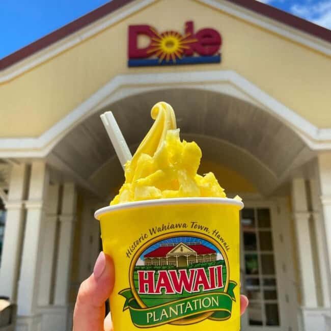 From Waikiki: Oahu Circle Island Tour - An In-Depth Look at the Oahu Circle Island Tour