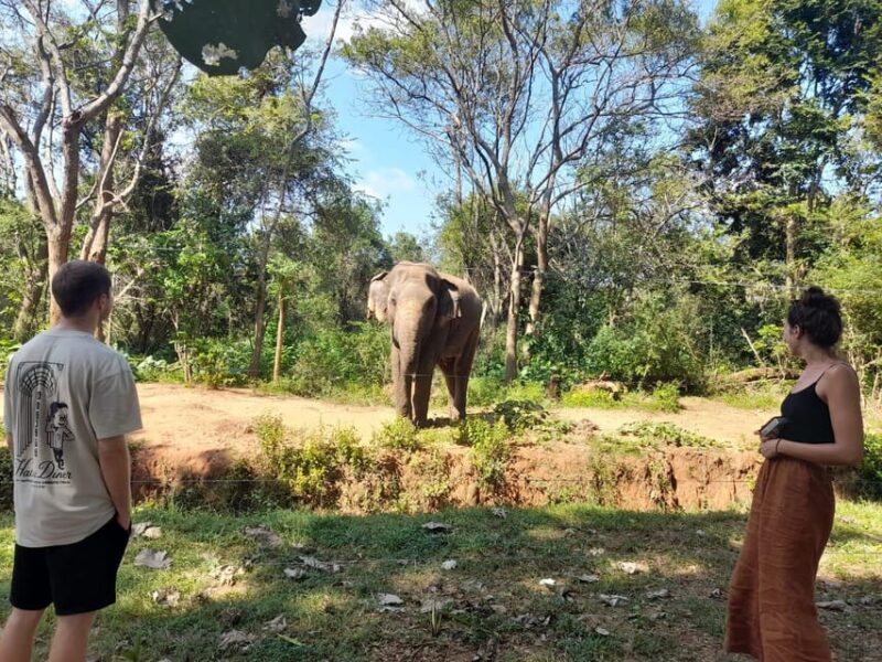 From Waligama/Mirissa Transfer to Ella via Udawalawa Safari - Good To Know