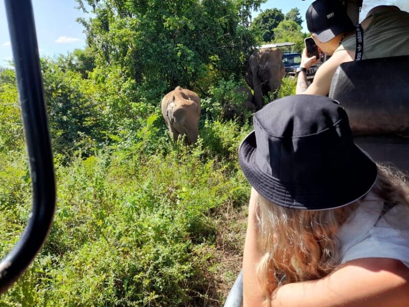 From Waligama/Mirissa Transfer to Ella via Udawalawa Safari - Itinerary and Experience