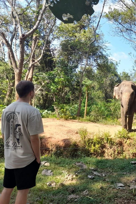 From Waligama/Mirissa Transfer to Ella via Udawalawa Safari - Transportation and Inclusions