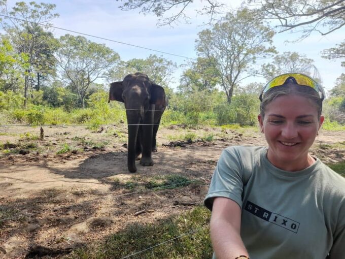 From Waligama/Mirissa Transfer to Ella via Udawalawa Safari - Frequently Asked Questions