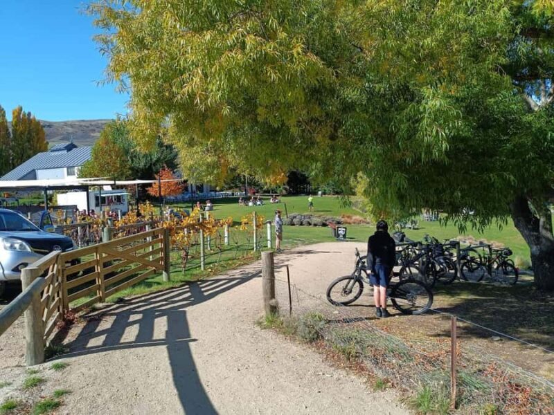 From Wanaka - Bike the Dunstan Trail with shuttle return - The Benefits of E-Bikes and the Trail’s Design