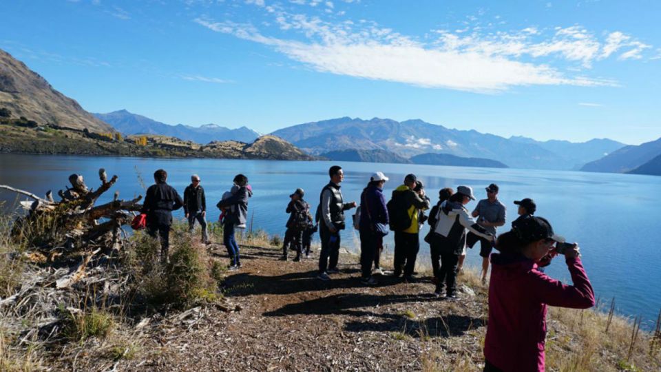 From Wanaka: Ruby Island 1-Hour Cruise and Photo Walk - Important Information