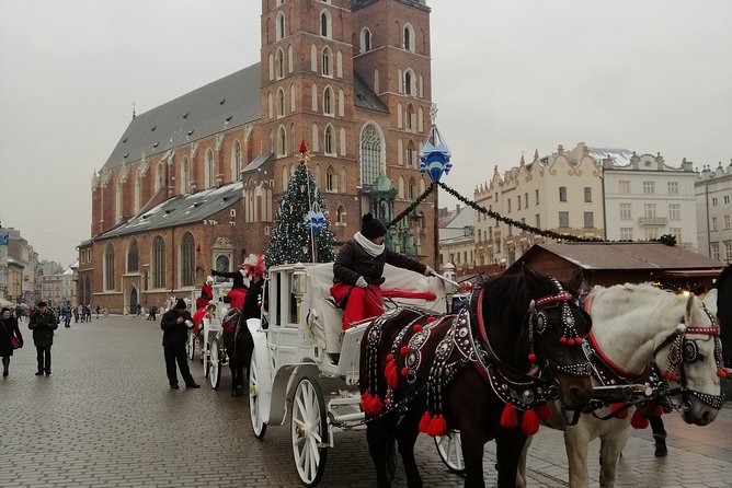 From Warsaw Auschwitz and Krakow One Day Tour by Train With Pick up and Drop off - Inclusions