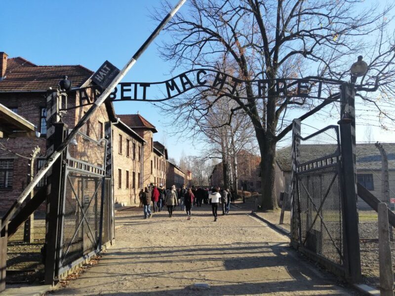 From Warsaw: Auschwitz-Birkenau Tour by Car - Final thoughts: who is this for?