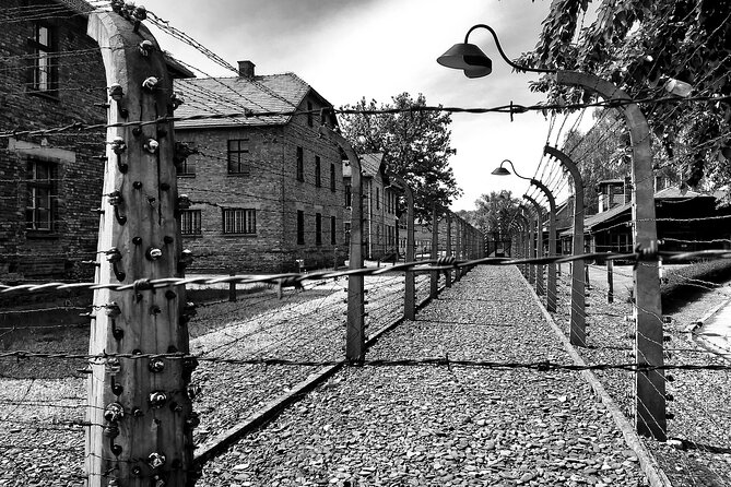 From Warsaw: Auschwitz-Birkenau Tour With Premium Train Transportation - Licensed Guide and Insights