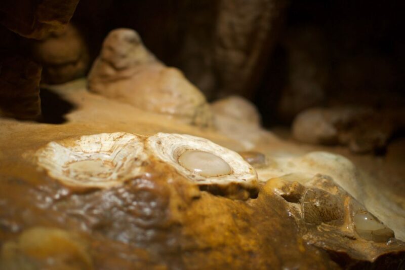 From Washington DC: Day Trip to Luray Caverns - An In-Depth Look at the Luray Caverns Day Trip