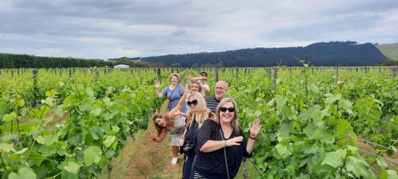 From Wellington: Martinborough Winery Tour - Second Winery: Moy Hall Wines