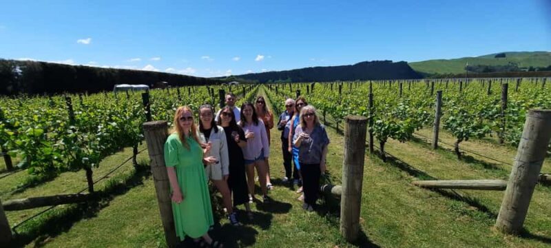 From Wellington: Martinborough Winery Tour - Lunch and Relaxation