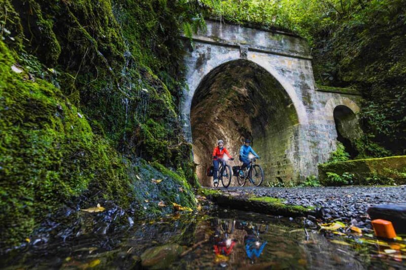 From Wellington: Remutaka Rail Trail eBike Tour - An In-Depth Look at the Remutaka Rail Trail eBike Tour