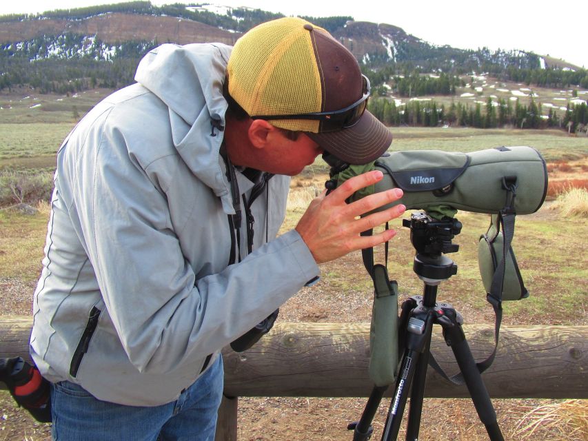 From West Yellowstone: Lamar Valley Wildlife Tour by Van - Stops Along the Way