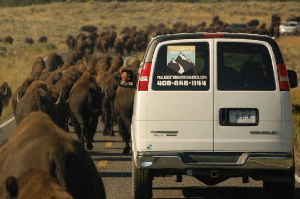 From West Yellowstone: Lamar Valley Wildlife Tour by Van - Cancellation Policy