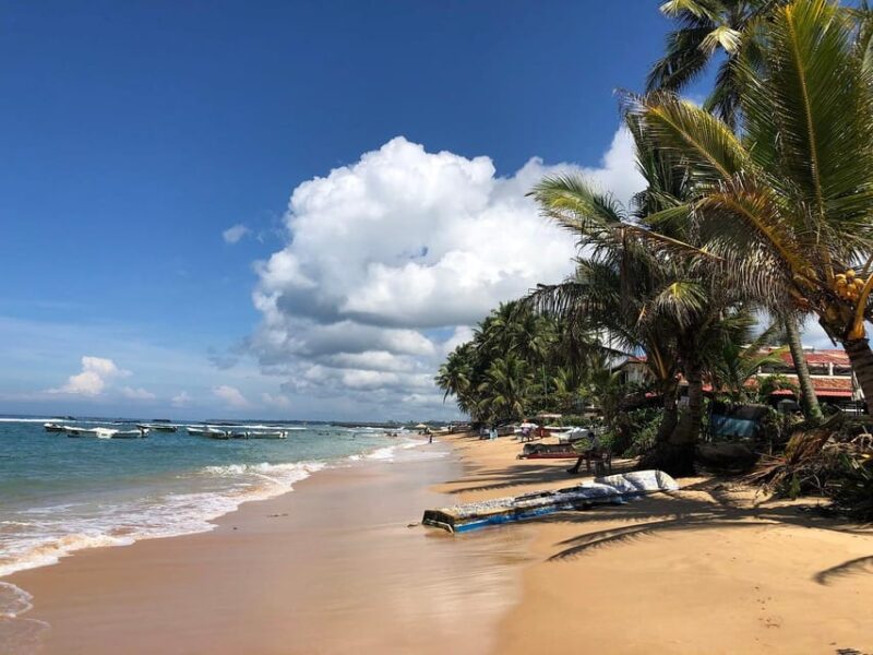 From Western Sri Lanka: South Coast Day Trip With Transfers - Culinary and Relaxation Experiences