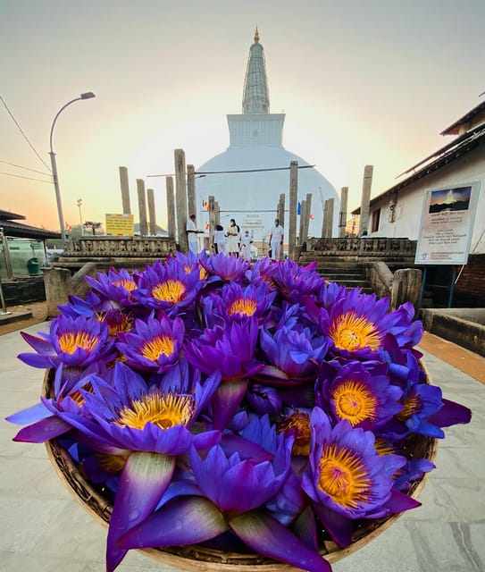 From Western Sri Lanka: South Coast Day Trip With Transfers - Highlights of the Day Trip