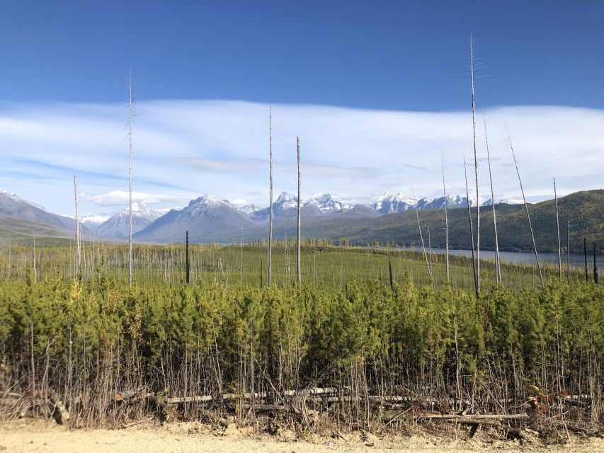 From Whitefish: Glacier National Park & Polebridge Day Tour - Frequently Asked Questions