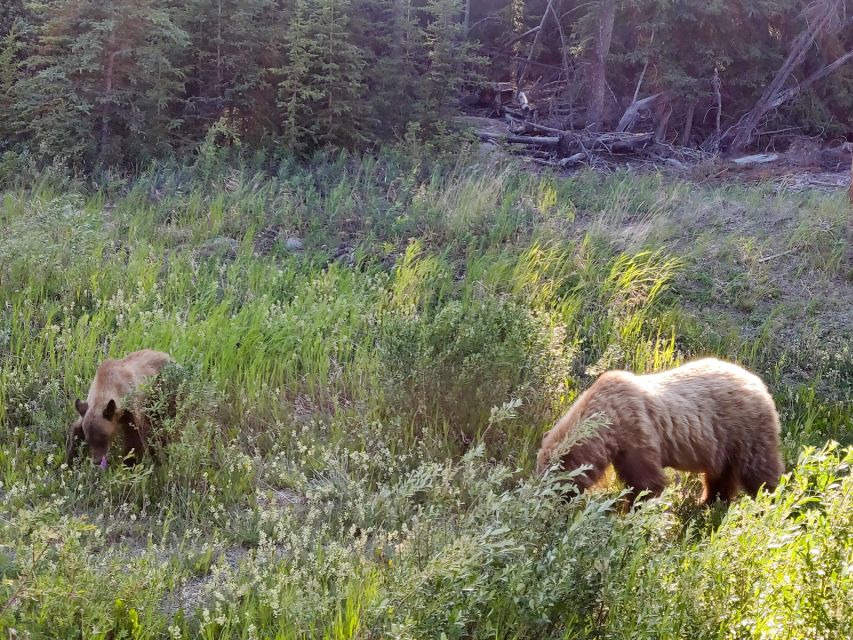 From Whitehorse: Skagway Day-Trip - Emerald Lake