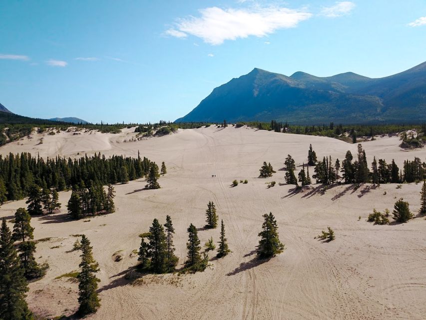 From Whitehorse: Skagway Day-Trip - Carcross Experiences