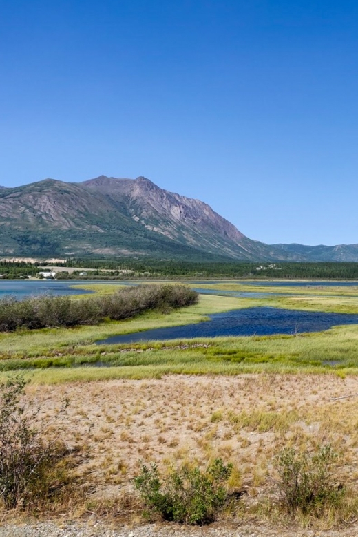 From Whitehorse: Skagway Day-Trip - Border Crossing Requirements