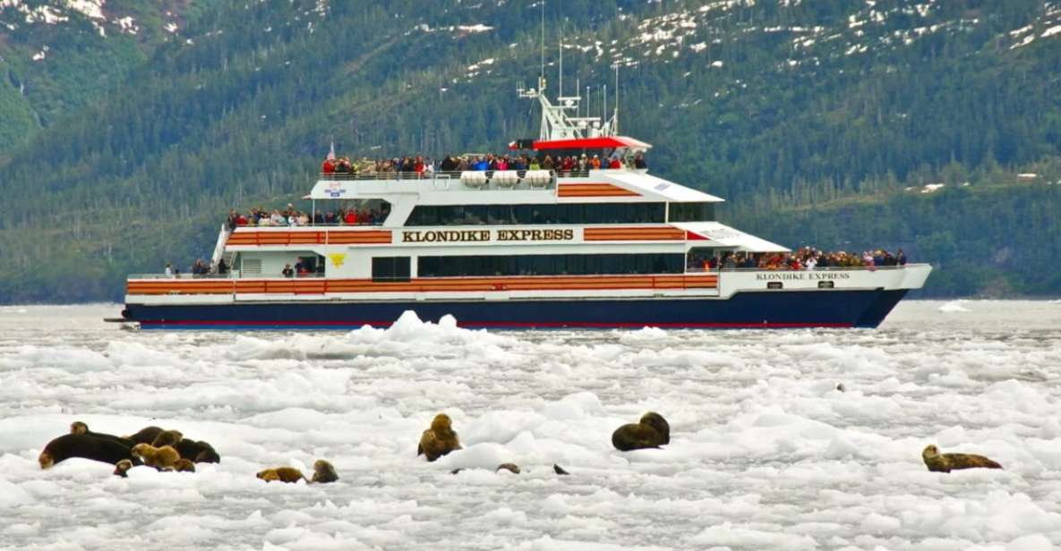 From Whittier/Anchorage: Prince William Sound Glacier Cruise - Highlights and Inclusions
