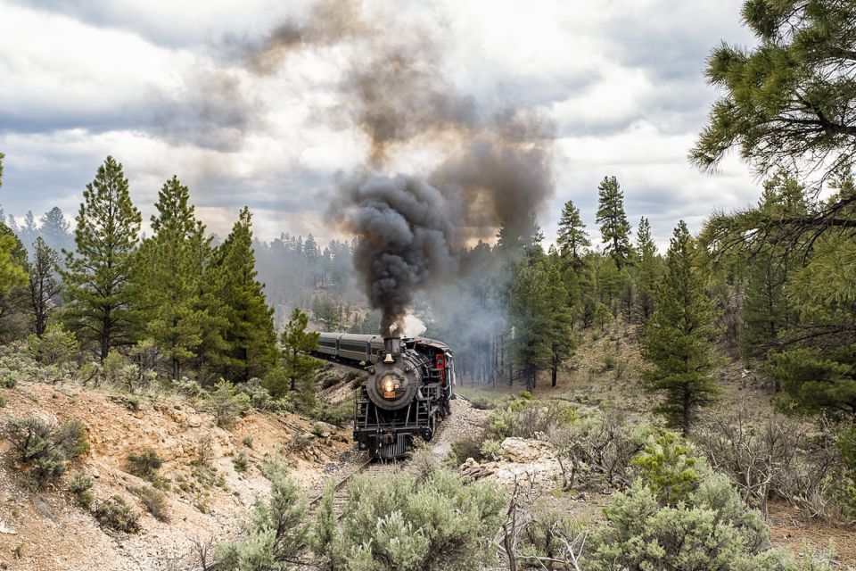 From Williams: Grand Canyon Railway Round-Trip Train Ticket - Important Information