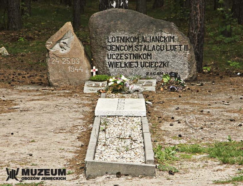 From Wrocaw: Stalag Luft 3 Great Escape Tour - Who Will Appreciate This Tour?