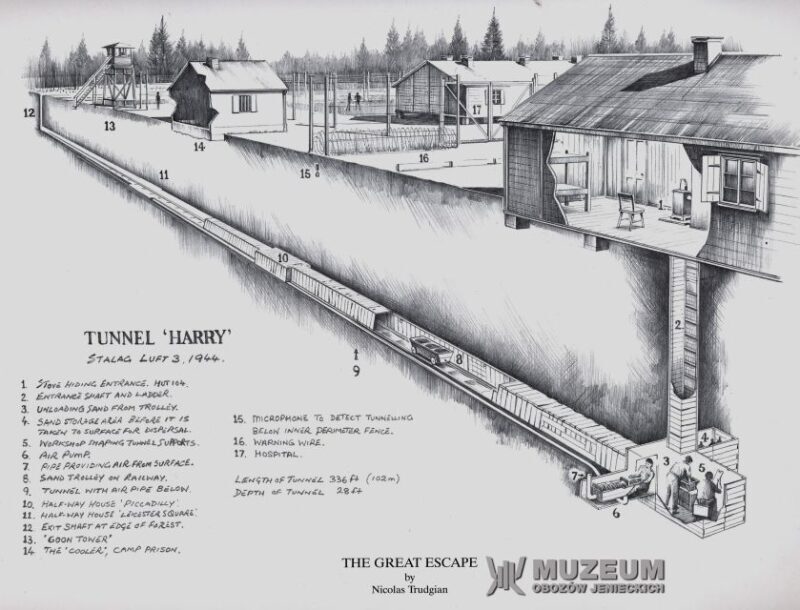 From Wrocaw: Stalag Luft 3 Great Escape Tour - Who Will Love This Tour?