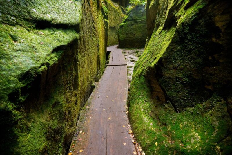 From Wroclaw: Hiking Trail in Rock City Adrspach - Highlights and Authentic Experiences  
