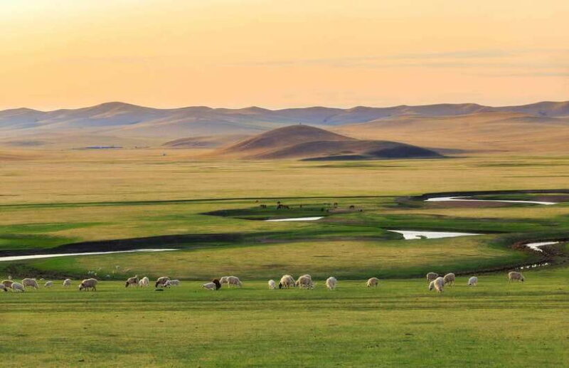 From Xilinhot: 4-Day Xanadu Grassland Tour with Herdsman - Day 2: Living the Nomadic Life