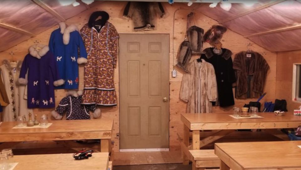 From Yellowknife: Aurora Borealis Tour With Cozy Cabin Base - Booking Information