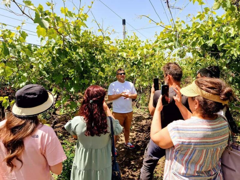 From Yerevan: Winery Tour with Wine Tasting and Dinner - An In-Depth Look at the Tour Experience