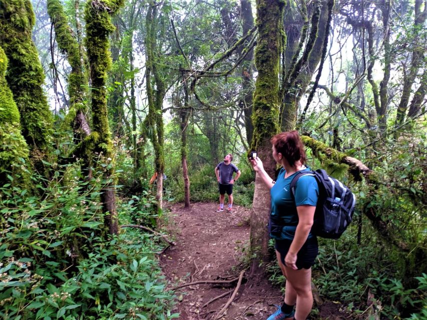 From Yogyakarta: 2 Days 1 Night Mount Merbabu Camping Trip - Day 1: Sunset and Camping
