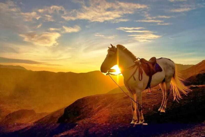 From Yogyakarta: 3-Day Bromo and Ijen Tour with Transfers - Practical Considerations and Tips