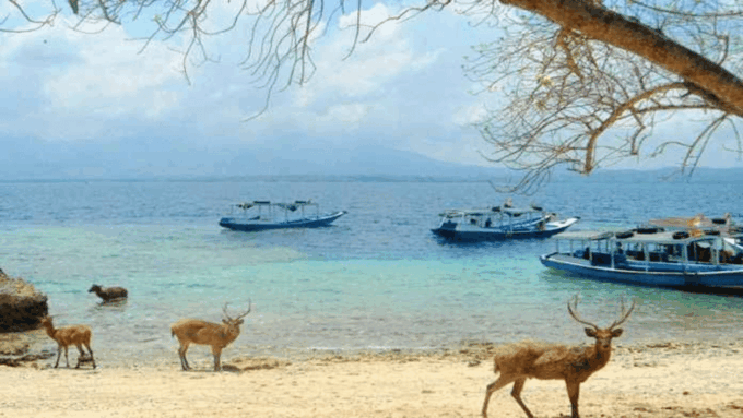 From Yogyakarta: 3D Mt Bromo & Ijen Vulcano - Highlights of the Tour