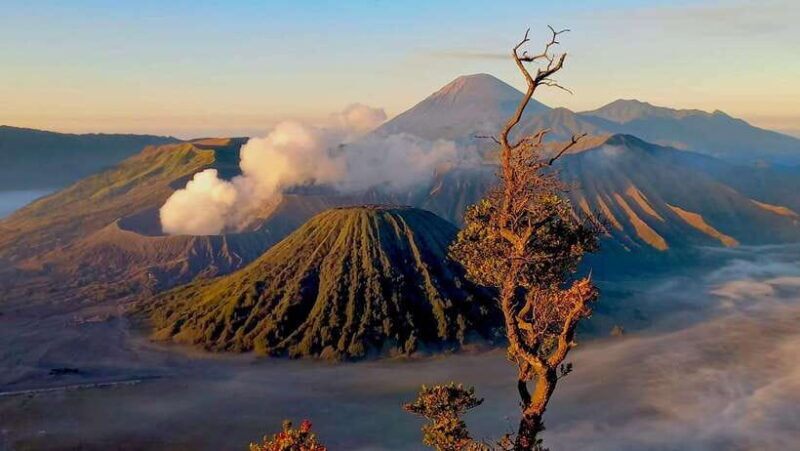 FROM YOGYAKARTA 3D2N BROMO&IJEN VOLCANO - Reviews and Real-World Experiences