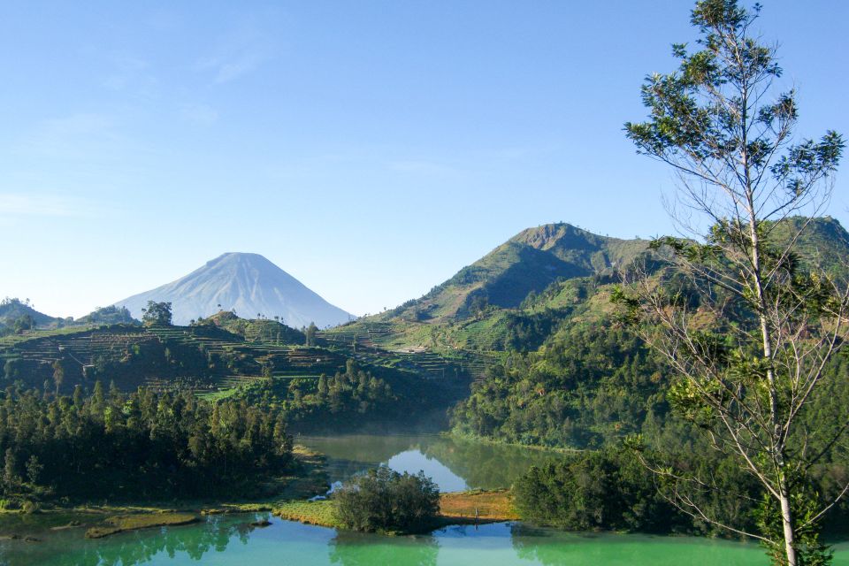 From Yogyakarta: Dieng Plateau Golden Sunrise Guided Trip - Key Points