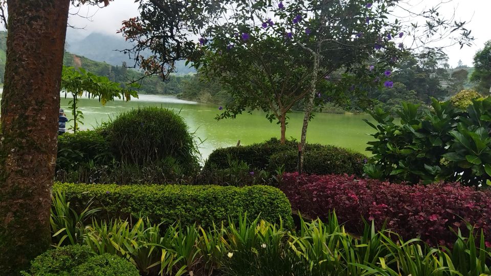 From Yogyakarta: Dieng Plateau Golden Sunrise With Guide - Key Points