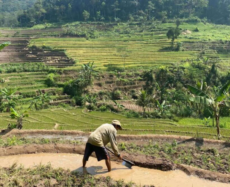 From Yogyakarta: Hidden Waterfall & Selogriyo Rice Terraces - Final Thoughts