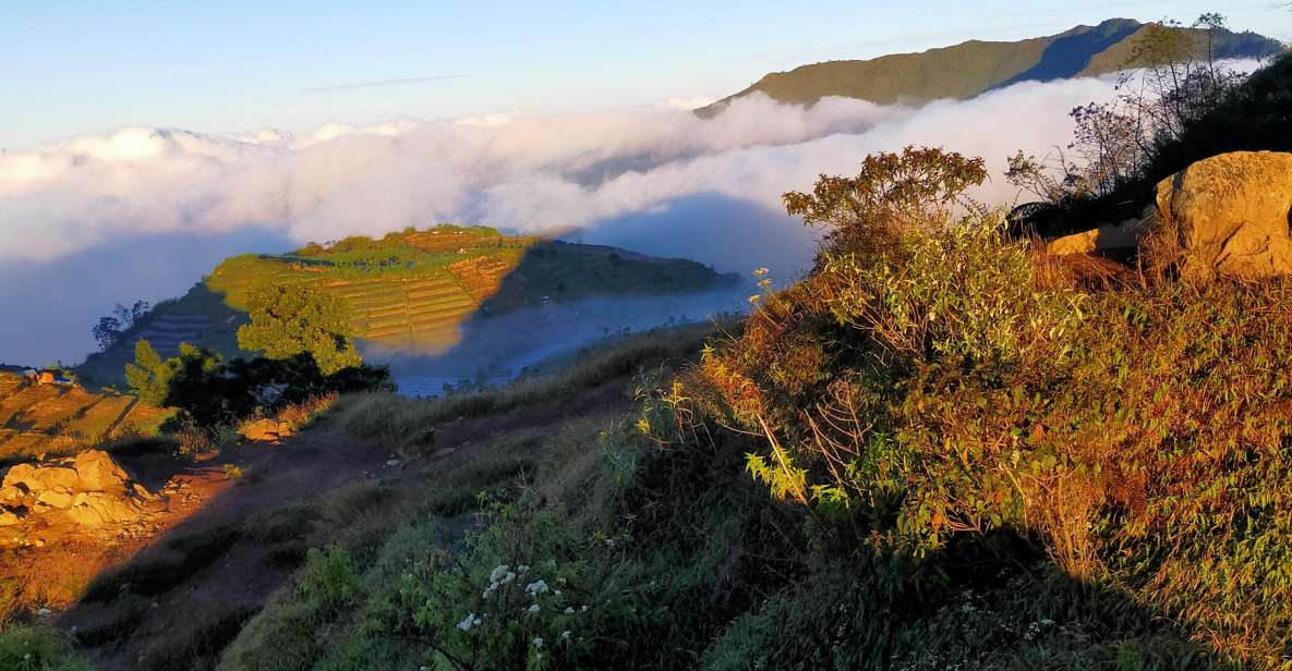 From Yogyakarta: Journey to the Beauty of Dieng With a Guide - Key Highlights