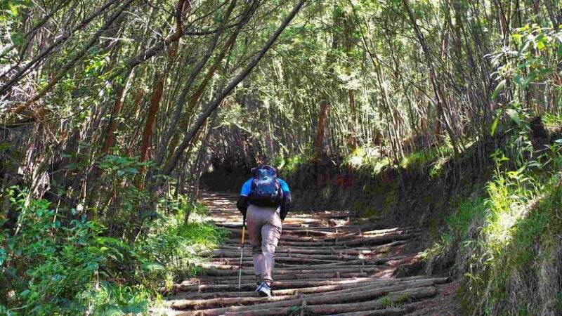 From Yogyakarta: Mount Sumbing Day Hike Via Nepal Van Java - Why Choose This Tour?