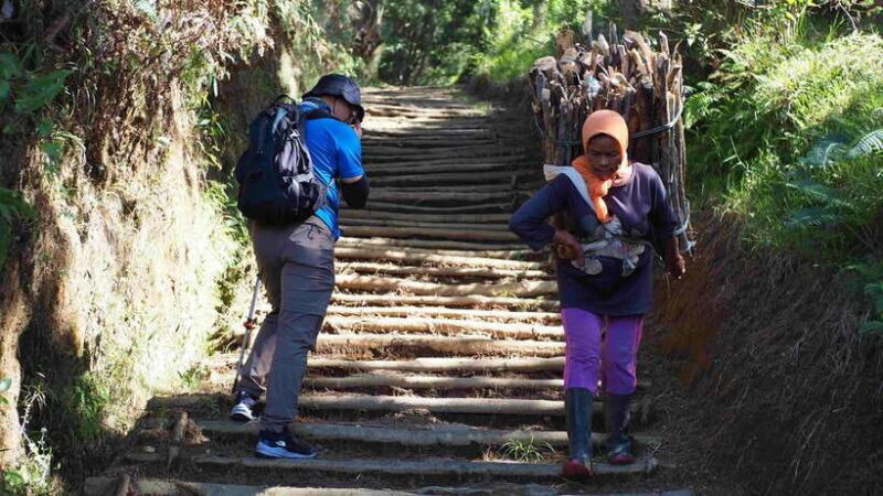 From Yogyakarta: Mount Sumbing Day Hike Via Nepal Van Java - Who Is This Tour Best Suited For?