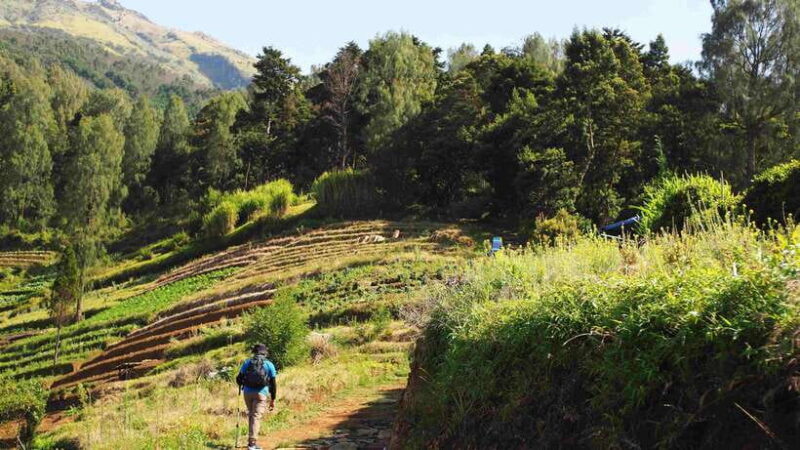 From Yogyakarta: Mount Sumbing Day Hike Via Nepal Van Java - FAQ