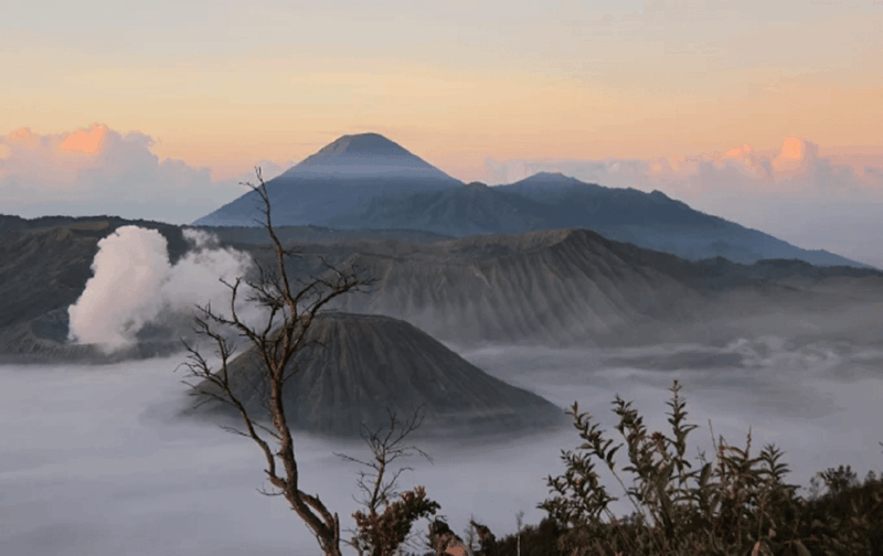 From Yogyakarta or Bali: 3-Day Journey to Bromo & Mount Ijen - Included in the Tour