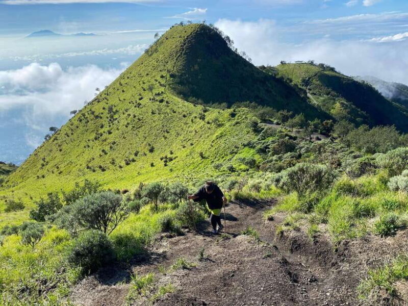 From Yogyakarta : Sunrise & Sunset Mount Merbabu Camping - The Value of the Experience