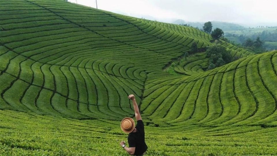 From Yogyakarta: West Java 3-Day Tour With Tea Plantation - Batukaras Beach Surfing