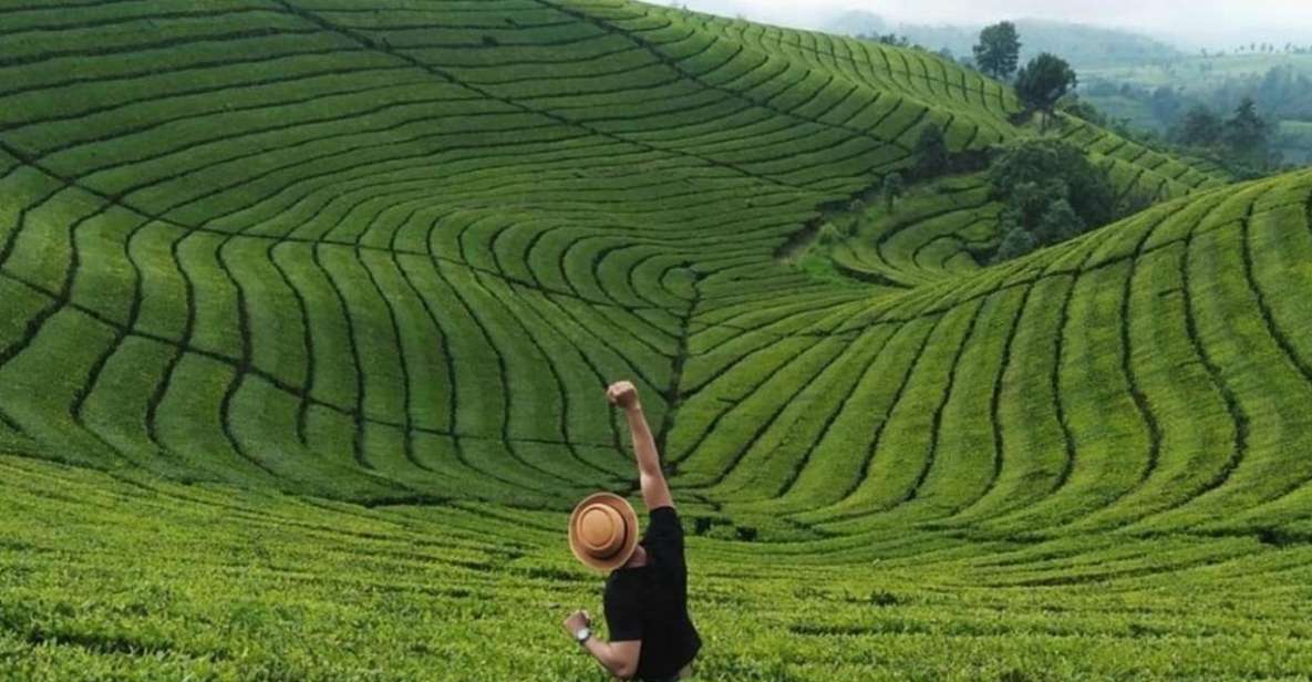 From Yogyakarta: West Java 3-Day Tour With Tea Plantation - Cijulang River Adventure